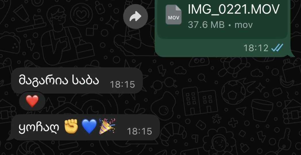 WhatsApp მიმოწერა მომხმარებელთან