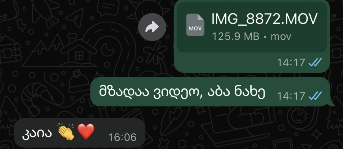 WhatsApp მიმოწერა მომხმარებელთან